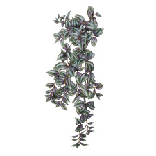 86cm Faux Hanging Wandering Jew Bush