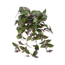 52cm Faux Hanging Wandering Jew Bush