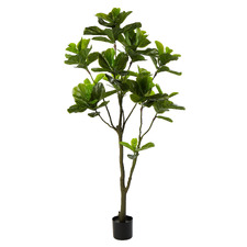 190cm Potted Faux Fiddle Tree