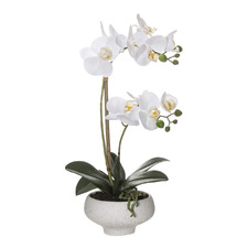 46cm Potted Faux Butterfly Orchid