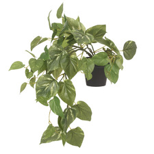 47cm Faux Hanging Pothos Plant