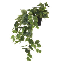 84cm Faux Hanging Philodendron Plant