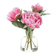 25cm Dark Pink Faux Peony with Glass Vase