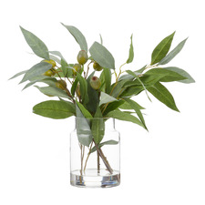 40cm Faux Mixed Gum Nut & Eucalyptus with Glass Vase