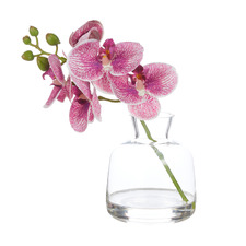 23cm Purple Faux Orchid with Glass Vase