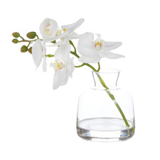23cm White Faux Orchid with Glass Vase