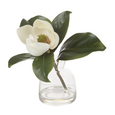 26cm Faux Magnolia Stem with Glass Vase