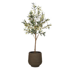 164cm Potted Faux Olive Tree