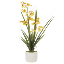 58cm Potted Faux Dancing Orchid Plant