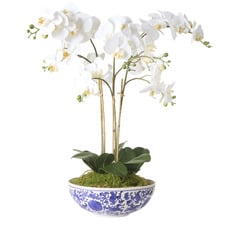 66cm White Potted Faux Dancing Orchid Plant
