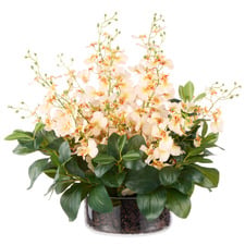 49cm Faux Dancing Orchid with Vase