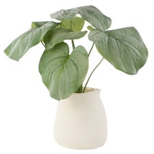 57cm Faux Hosta with Vase