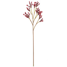 77cm Red Faux Kangaroo Paw Spray