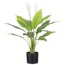 78cm Potted Faux Peace Lily