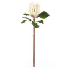 60cm Faux King Protea Stem