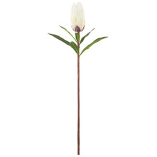 61cm White Faux Protea Stem