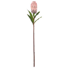 61cm Pink Faux Protea Stem