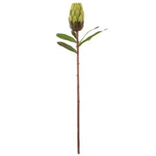 61cm Green Faux Protea Stem