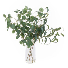 89cm Faux Eucalyptus & Gum Leaves with Glass Vase