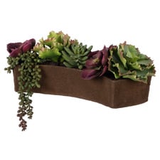 17cm Potted Faux Succulent Mix Arrangement