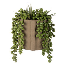 15cm Potted Faux Hanging Pearl Succulent
