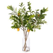 72cm Faux Lemon Tree Branches with Glass Vase
