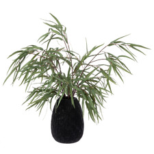 67cm Potted Faux Eucalyptus Nicholii Plant