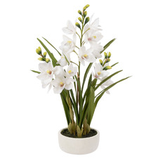 74cm Potted Faux Cymbidium Orchid