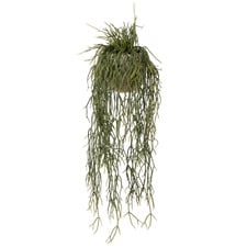 61cm Potted Faux Hanging Mistletoe Cactus Plant