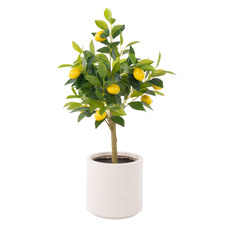 76cm Potted Faux Lemon Tree