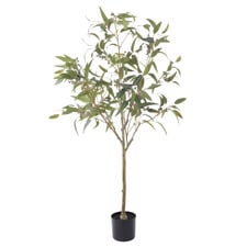 170cm Potted Faux Eucalyptus Gumnut Tree