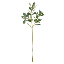 72cm Faux Pittosporum Spray
