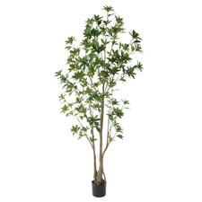 180cm Potted Faux Japonica Tree