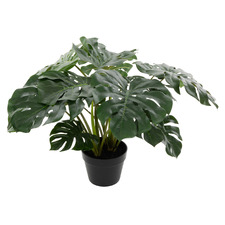 60cm Potted Faux Mostera Plant