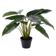 60cm Potted Faux Philodendron Plant
