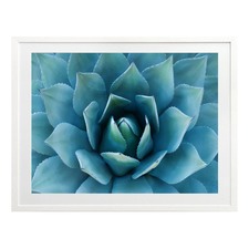 Bloom Of Love Canvas Wall Art