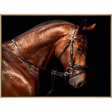 Hermes Horse Drop Shadow Framed Canvas Wall Art