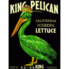 Vintage King Pelican California Canvas Wall Art