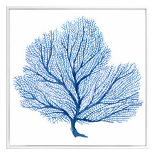 Hamptons Blue Coral Canvas Art