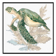 Turtle Love Wall Art