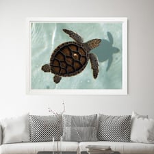 Love Turtle Printed Wall Art