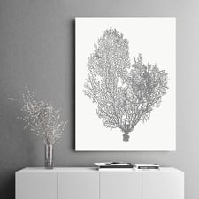 Natural Coral Printed Wall Art