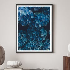 Hydra Love Framed Paper Print Wall Art