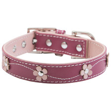 Lucy Leather Dog Collar