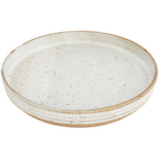 Medium Seagrass Amity Speckle Ceramic Plate