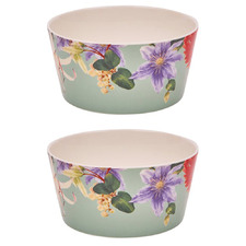 Sage Green Ceramic Bowls (Set of 2)
