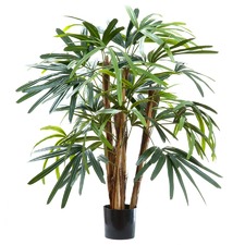 100cm Rhapis Palm Tree