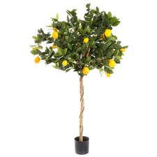 110cm Golden Lemon Tree