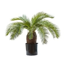 65cm 19 Leaves Faux Cycus Palm