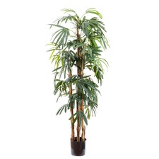 170cm Faux Thin Leaf Raphis Palm